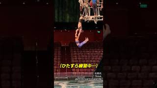 まるで怪物しかいないサーカス団員