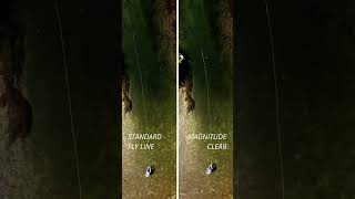 Scientific Anglers Muškařská šňůra Magnitude Infinity Buckskin/Clear Head