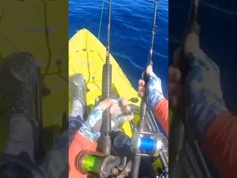 Wahoos com punho duplo #kayakfishing