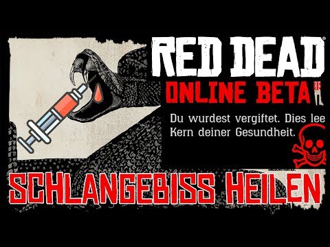 Schlangenbiss was tun!? | Schlangenbiss heilen und Ginseng finden! | DCine | RDR2 / RDO