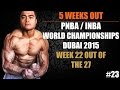 5 Weeks Out PNBA / INBA Natural Bodybuilding World's Dubai 2015 - #23