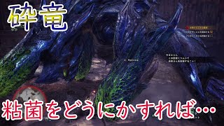 【MHW実況13】みんなで粘菌パラダイスを歌おう