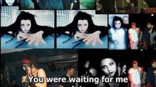 Evanescence - Fall Into You ( David Hodges Feat Amy Lee )