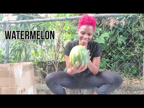 What's in this Fruit Box? || Unboxing Tropical Fruits @StaciaAlicia