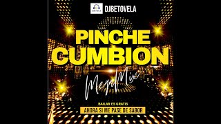 Download lagu PINCHE CUMBION MEGAMIX mp3