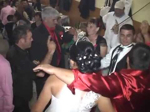 nunta lui goga si mihaela de la veseus 4