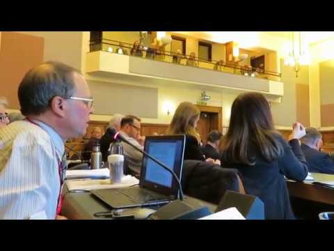 Cumbria Councillors Vote for Coal Mine Near Sellafield 19th March 2019  Part 4