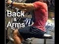 Friday - Back and Arms
