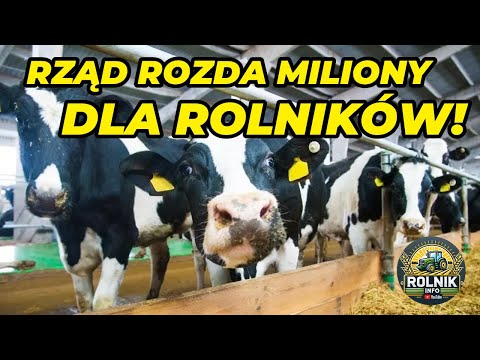 Nowe dopłaty dla hodowców zwierząt! Sprawdź, ile dostaniesz od państwa!