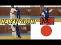 Learn another way to do Harai-goshi