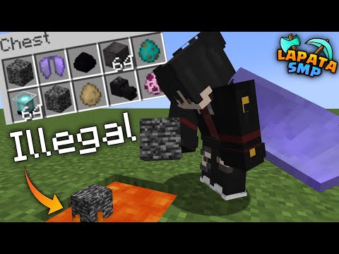 Niz Gamer - I Destroy Every illegal item in this Minecraft SMP | Lapata SMP (S3-13)