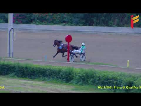 Prova di riqualifica del 6 novembre 2021   5 Anni ed oltre   Metri 1600