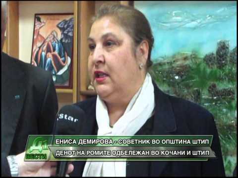 DENOT NA ROMITE ODBELEZAN VO OPSTINA KOCANI I OPSTINA STIP