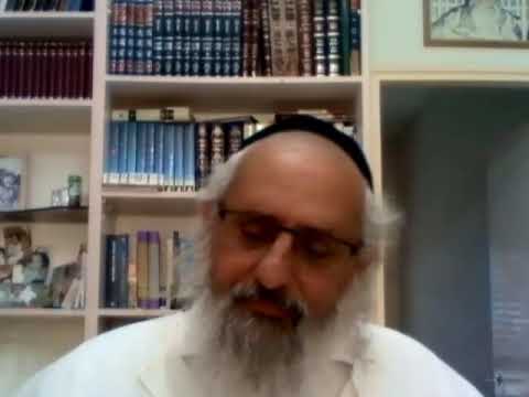 Paracha Béhar selon les enseignements du Or Ha'Haïm Chémita et Yovel
