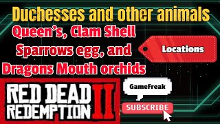 Queens, clam shell, sparrows egg, and Dragons mouth orchid locations. #gaming #tutorial #videogames