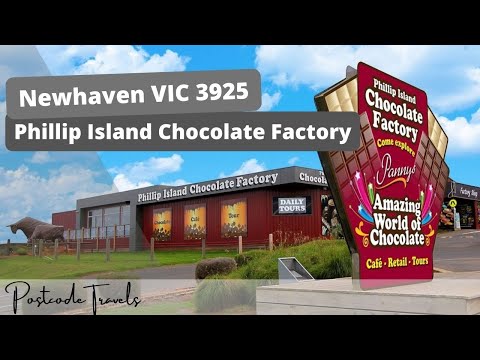 The robot delivers food at Phillip Island Chocolate Factory - Newhaven 3925