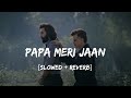 Papa Meri Jaan Animal Sonu Nigam Slowed Reverb Music Haven