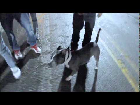 KG Guapo - Dope Boy (OFFICIAL VIDEO) shot by @zetavisuals