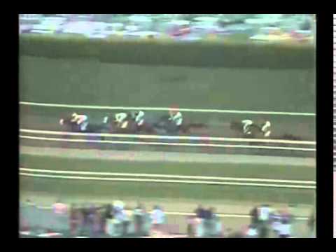 1992 Santa Anita Derby   A P  Indy