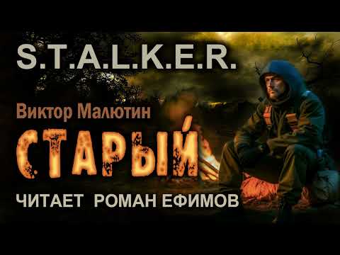 S.T.A.L.K.E.R. Старый (аудиокнига). БОЕВАЯ ФАНТАСТИКА. Виктор Малютин. Читает Роман Ефимов.