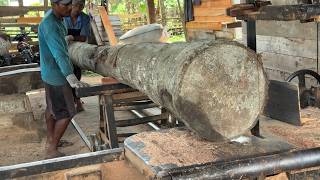 Common Mistakes in Sawing 5x5 Coconut Trees with a Sawmill