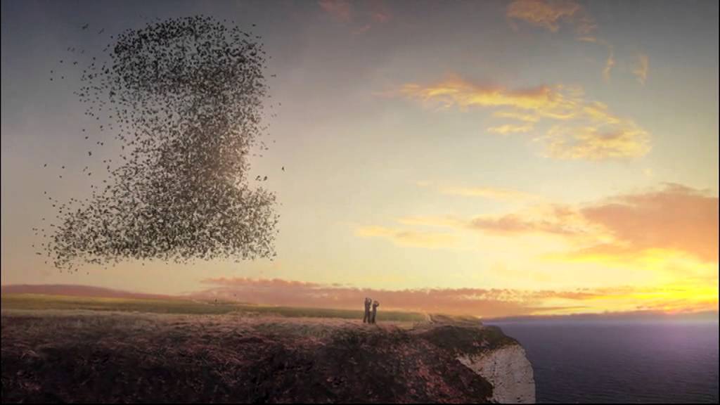 BBC Two - Autumnwatch