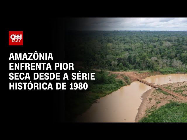 Amazônia enfrenta pior seca desde a série histórica de 1980 | CNN 360º