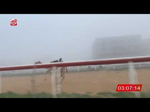 ش 2 (زوبعه) لـ علي جمعه بن سبت السويدي 9:27:84 ، شارة الديوان 2026/2/7 ثنايا التلة