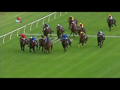 Sweynesse at Novara Park 2019