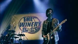 Download lagu The Winery Dogs   Unleashed in Japan Full DVD 2014 mp3