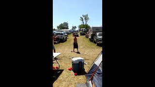 faze tari sare pe mese