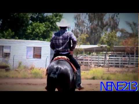 Arley Perez - Caballo De Acero - (2013)