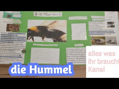 mein Hummel Plakat
