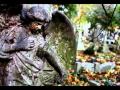 Faith And The Muse - In The Amber Room 