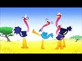 Preview 2 Olive The Ostrich Theme Song Random Effects