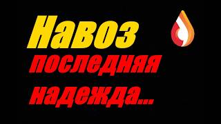 Навоз последняя надежда...
