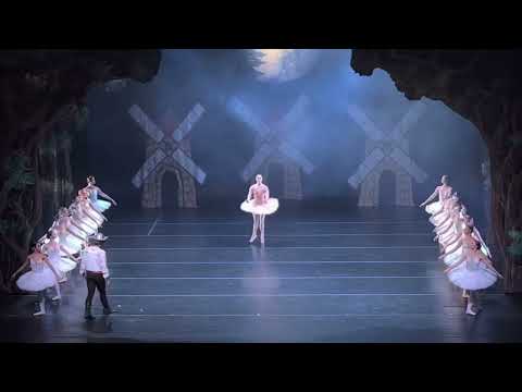 Sonho de Don Quixote