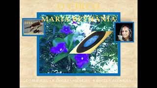 MUSIFALCONS 3016 - O CIRCO - MARIA BETHÂNIA