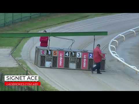Signet Ace - LADBROKES COM 480