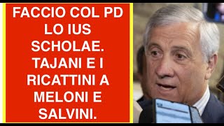 FACCIO COL PD LO IUS SCHOLAE. TAJANI E I RICATTINI A MELONI E SALVINI.