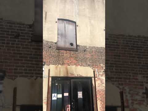 YOUR MOMENT OF ZEN: Pigeon Hole in Williamsburg Brooklyn (9/19/2021)