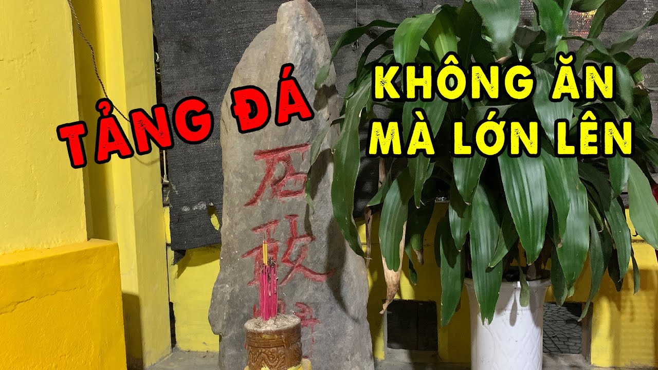 Thạch Thần và Tượng Mẫu Cả tự Lớn Lên theo thời gian