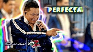 Perfecta (En Vivo) - Banda Los Recoditos