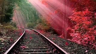 Shawn Lee's Ping Pong Orchestra feat. Nino Mochella - Kiss The Sky