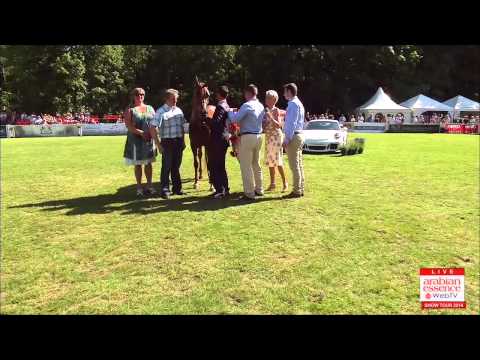 Bruges - International Show