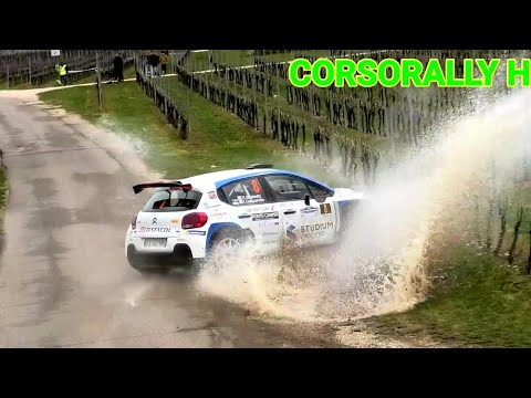 2° Rally del Bardolino 2022 SHOW CRASH & MISTAKES
