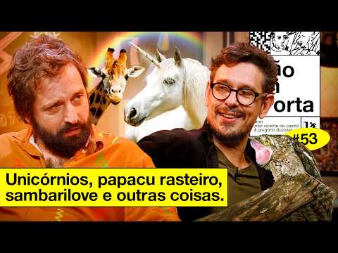 UNICÓRNIOS, PAPACU RASTEIRO, SAMBARILOVE E OUTRAS COISAS | NÃO IMPORTA #53