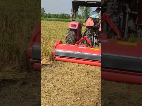 Italian Maschio Mulcher Terminator in Paddy Straw Management.. Doaba Agro Hoshiarpur
