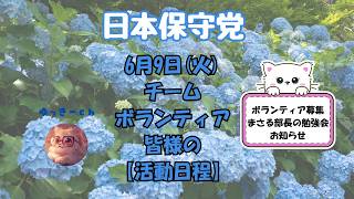日本保守党　6月9日(火)チーム・ボランティア皆様の【活動日程】ボランティア募集・まさる部長の勉強会のお知らせあります。