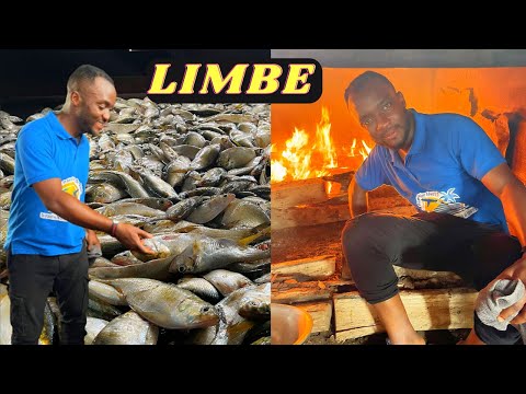 Largest Fish Market in Cameroon - Come with me to the Fish Market in Limbe.
